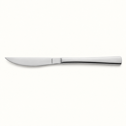 Atlantic Steakmesser Vollheft 21,9 cm